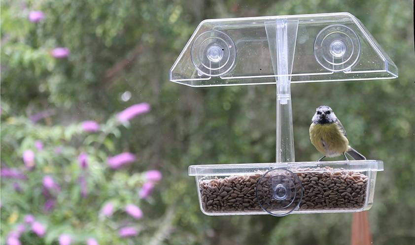 Bird Feeding 1 - Bird Food & Feeders - Vine House Farm