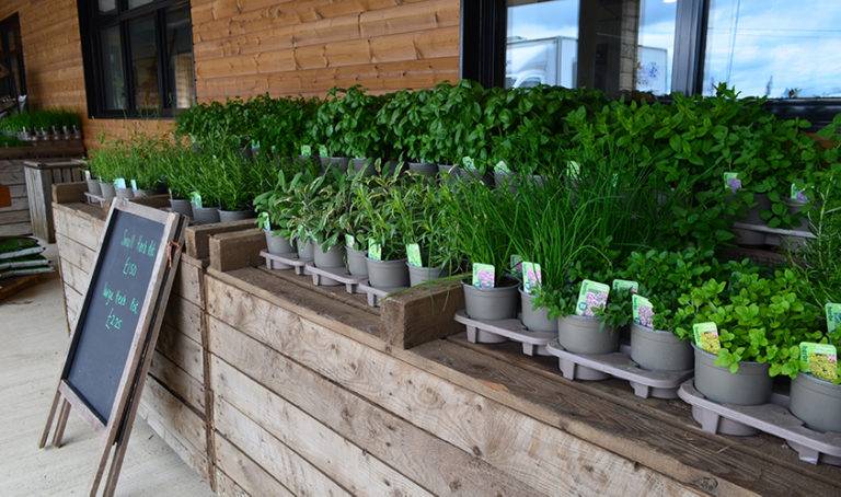 Herbs flowers - Fruit & Veg - Vine House Farm