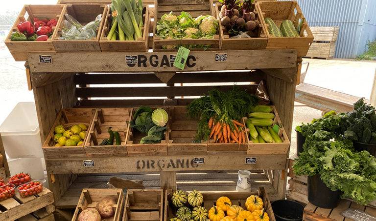 Organic veg - Fruit & Veg - Vine House Farm