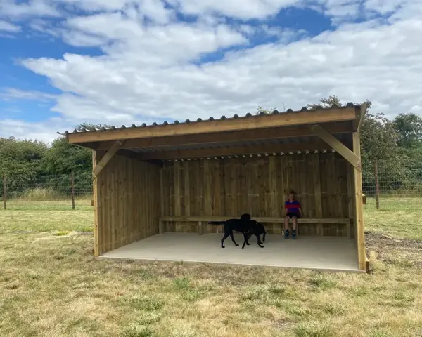 Book our dog park - Vine House Dog Park 15 - Vine House Farm Dogs playing in the shelter at Vine House Farm Shop Dog Park
