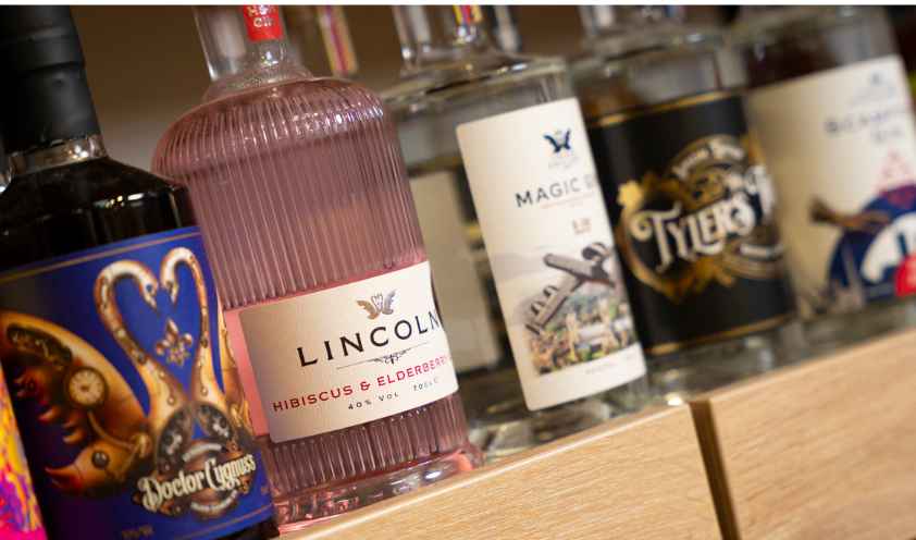 Gin 1