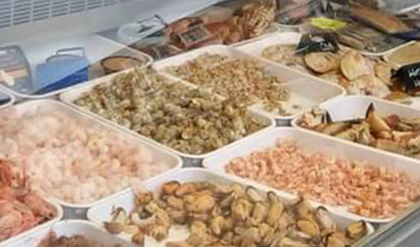 fish-gallery-img1