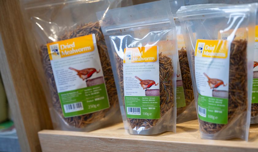 Bird Food & Feeders - 842 x 496 Website images 69 - Vine House Farm 842 x 496 Website images (69)