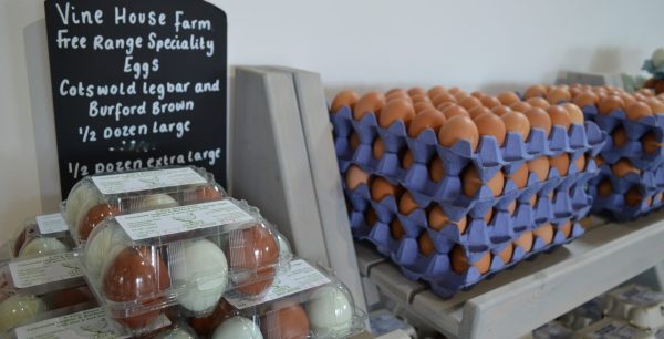 Egg display entrance